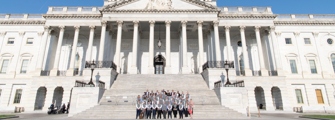 Vets on the Capitol Steps